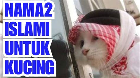 Temukan 4.817 inspirasi nama kucing jantan dan kucing betina paling lucu 2021 di sini. Nama Kucing Jantan Yang Baik Dalam Islam - 81021+ Nama ...