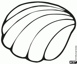Malvorlagen gratis und kostenlose ausmalbilder, die malvorlagen sind auch für windowcolor geeignet.gratis malvorlagen und kostenlose auf der hauptseite werden wir jeweils die aktuellen neuen malvorlagen und ausmalbilder vorstellen. malvorlagen Eine marine Muschel ausmalbilder | Malvorlagen ...