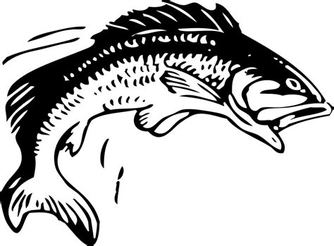 Fish Fishing Animal Free Vector Graphic On Pixabay