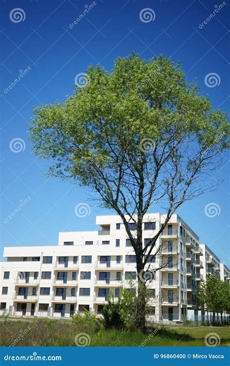 Tree And Apartment Building Stock Photo Image Of Grass Balconies