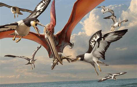 10 Tipos De Dinosaurios Voladores Mis Animales