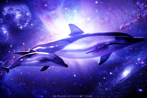 Dolphin Wallpapers For Desktop ·① Wallpapertag