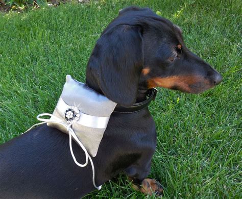 Dog Ring Bearer Engagement Pillow Rhinestone Collar Silver Etsy