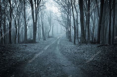 Road Trough A Dark Scary Forest With Fog — Stock Photo © Photocosma