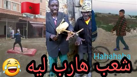 أحمق الفيديوهات المغربية التي يبحث عنها الجميع 😂 🤣 شعب هارب ليه 🤪