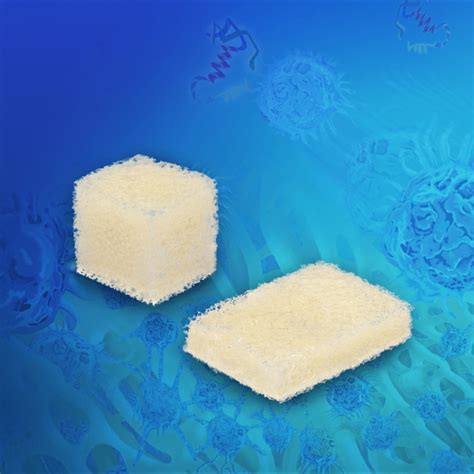 Viasorb Demineralized Cancellous Sponges Globus Medical