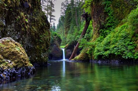 These Columbia River Gorge Hikes Immerse You in Nature's ...