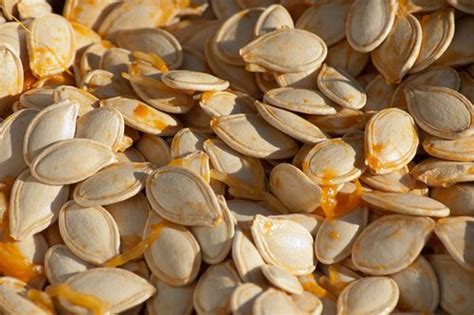 The Many Reasons Pumpkin Seeds Are Good For You Organic Authority