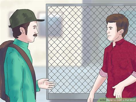 Check spelling or type a new query. How to Own a Pet Wolf: 14 Steps (with Pictures) - wikiHow