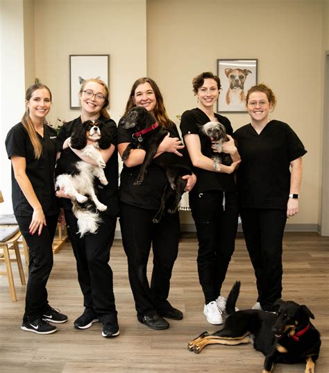About Our Philadelphia Veterinary Clinic | Indy Vet Care