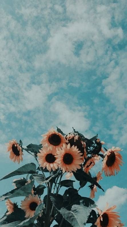 Aesthetic Wallpapers - Free by ZEDGE™