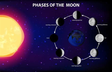 Phases Of The Moon For Science Education 6158462 Vector Art At Vecteezy