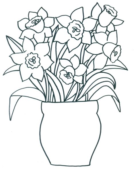 Daffodils In A Vase Art Colouring Challenge - Thomastown National School