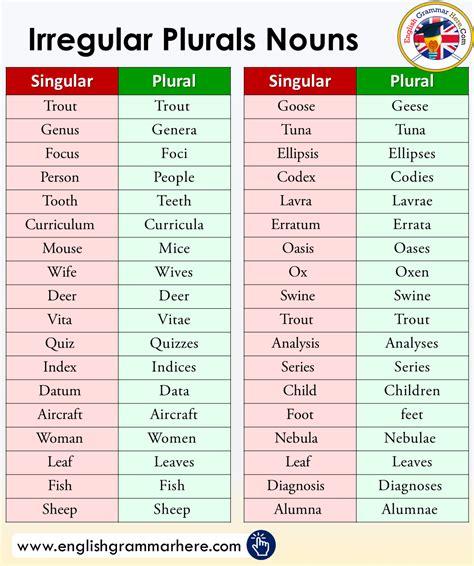 Irregular Plurals Irregular Plurals Noun In English English Grammar