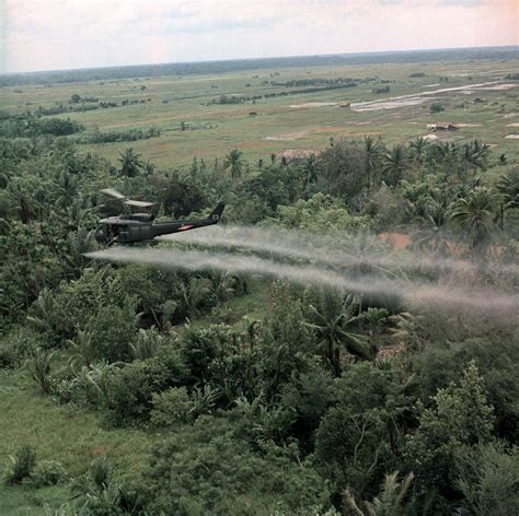 Agent Orange A Potent Herbicide With Damaging Health Effects