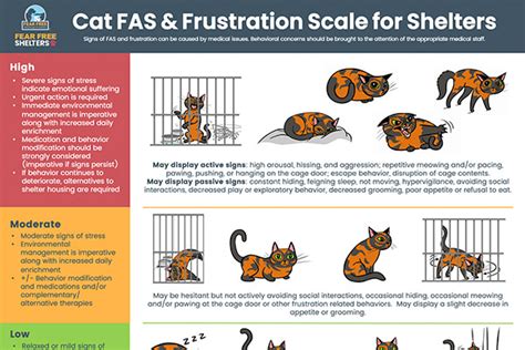 Fear Free Shelter Program Educational Resources