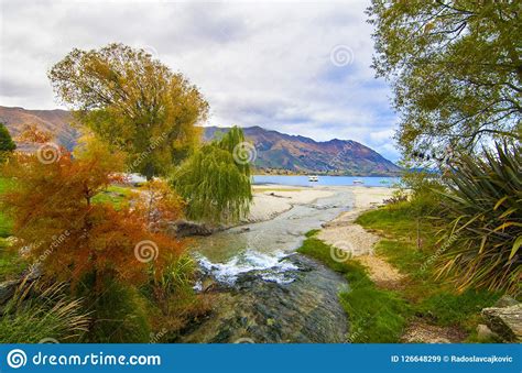 Autumn Colours At Lake Wanaka In Central Otago Region Of New Zealand