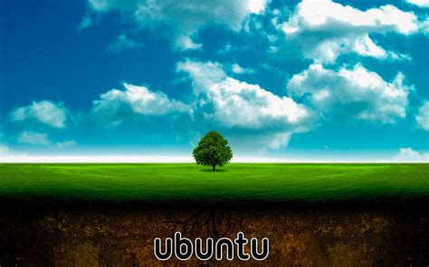 Ubuntu Awesome High Definition Hd Wallpapers All Hd Wallpapers 43 Phone Wallpaper