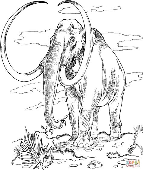 Mammoth sheet clipart 20 free Cliparts | Download images on Clipground 2021