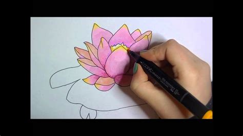 We did not find results for: Lily pad (Coloring) - YouTube