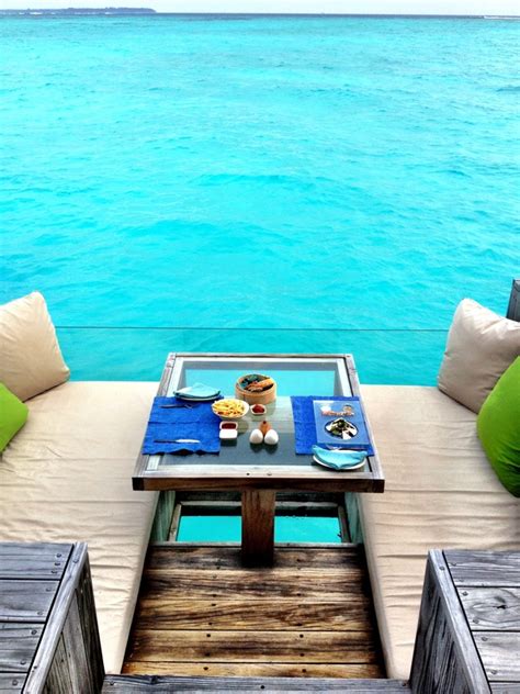 Maybe you would like to learn more about one of these? Good morning, ocean! photo on Sunsurfer