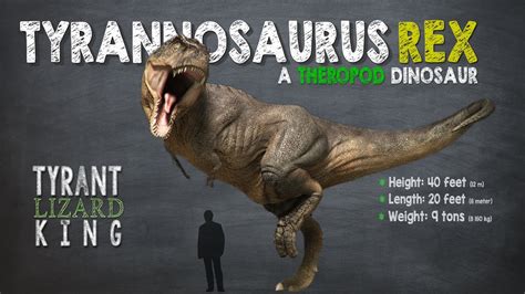 Tyrannosaurus Rex Facts A Dinosaur Facts Video About Tyrannosaurs Rex