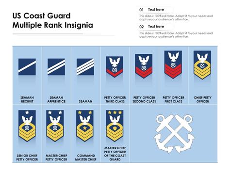 Us Coast Guard Multiple Rank Insignia Presentation Graphics
