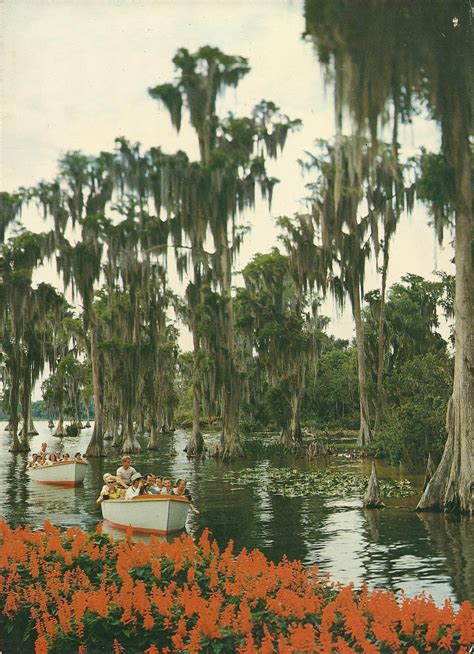 Vintage Travel Postcards Cypress Gardens