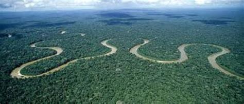 10 Facts About Amazon River Fact File