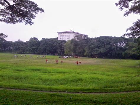 4288 x 2848 jpeg 8788 кб. Travel and Tourism: UP Diliman's Trees, Sunken Garden