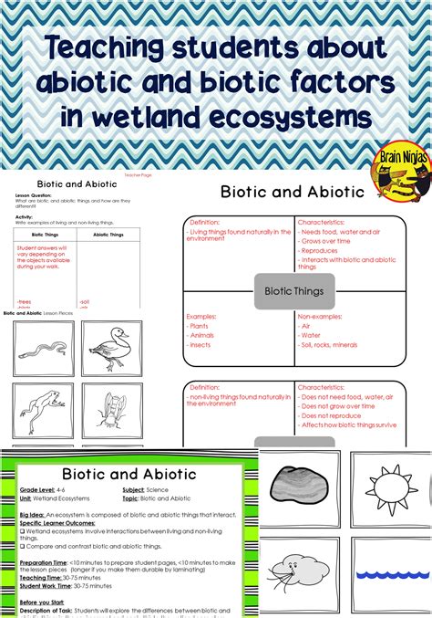 Wetland Ecosystems Biotic And Abiotic Interactions Science Notebook