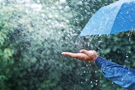 Why Does Rain Smell So Good Farmers Almanac Plan Your Day Grow
