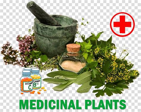 Free Download Dietary Supplement Herb Medicine Medicinal Plants