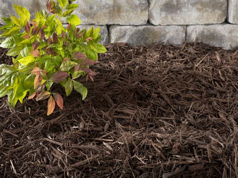 Shop Unbranded Premium Brown Color Mulch Project At