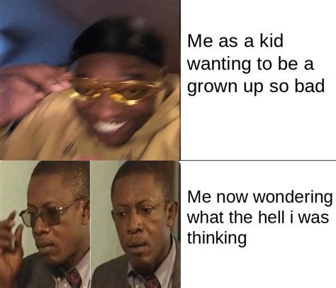 Why Did I Want To Grow Up Rmemes