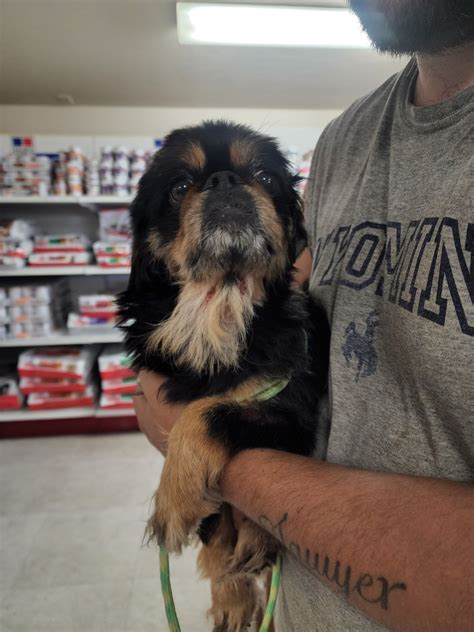 West End Veterinary Clinic - Home