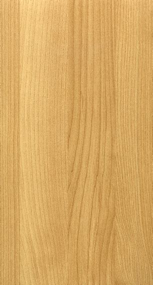 High Resolution Wood Texture Stock Photo Download Image