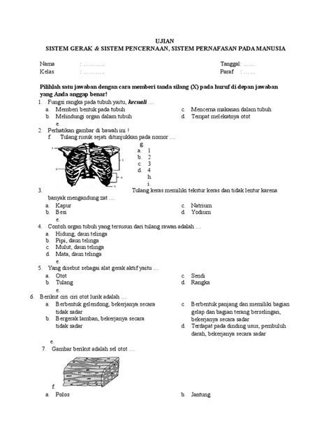 Soal ujian masuk profesi apoteker itbsemester iigelombang i (oktober, 2014). Soal Ujian Sistem Gerak & Sistem Pencernaan Kelas 8