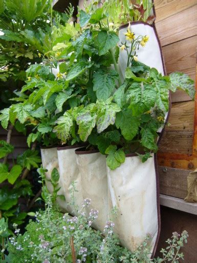 8 Space Saving Vertical Herb Garden Ideas For Small Yards And Balconies