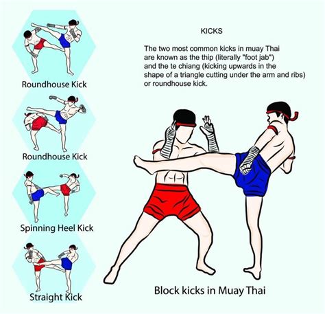 Muay Thai Techniques All Muay Thai Moves At A Glance Muay Thai Kicks Muay Thai Muay Thai