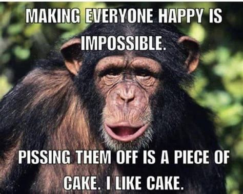 24 Happy Memes To Make You Feel A Whole Lot Better Funny Chimpanzee