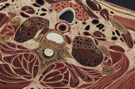 Som solen klipp där lisa nilsson avslutar grammisgalan 1992 som ägde rum på berns i stockholm i februari 1993 med. Lisa Nilsson - Paper Anatomy | Feather Of Me