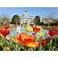 Lewis Ginter Botanical Garden 4th Best In USA  Richmondmagazinecom