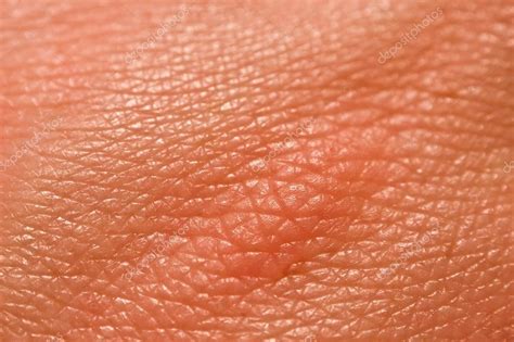 Cross section of human skin with labels. Human skin macro picture — Stock Photo © jugulator #25119063