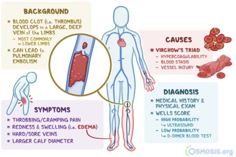 Pbl 2 Pulmonary Embolism Flashcards Quizlet