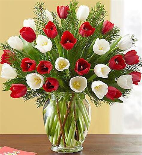 Christmas Tulips Red And White Tulip Arrangement Carithers Florist