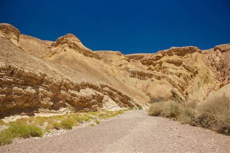 Negev Israeli Desert Sand Stone Hill Dry Wilderness Scenic Landscape