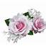Rose Pink With White FlowerRose Flowerpng  Snipstock