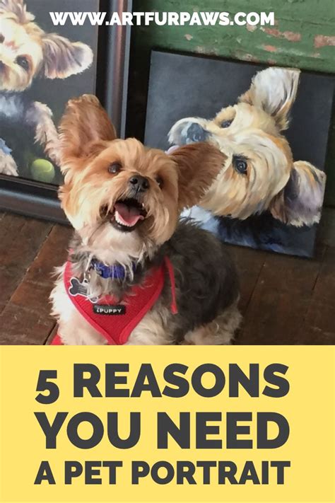 5 Reasons To Get A Custom Pet Portrait Pet Portraits Custom Pet