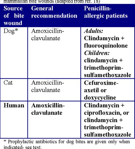 What Type Of Antibiotics Can You Give A Dog